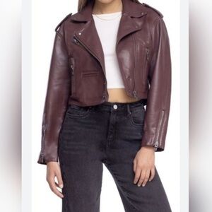 BLANK NYC maroon Burgundy plum Head Over Heels pleather crop moto Jacket size XS